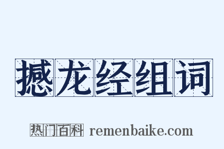 撼龙经组词是什么意思的图片